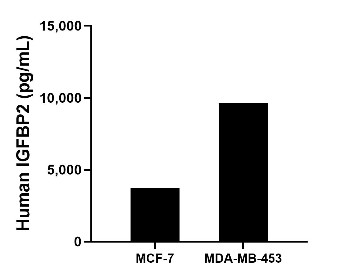 MCF-7 human breast cancer cells (5 x 10^6 cells/mL) were cultured in DMEM and 10% fetal bovine serum, 4 mM L-glutamine, 4500 mg/L glucose, 100 U/mL penicillin, and 100 μg/mL streptomycin sulfate. An aliquot of the cell culture supernatants was removed, assayed for human IGFBP2, and measured 3750.9 pg/mL. 
MDA-MB-453 human breast carcinoma cells (5 x 10^6 cells/mL) were cultured in DMEM supplemented with 10% fetal bovine serum, 2.5 mM L-glutamine, 100 U/mL penicillin, and 100 μg/mL streptomycin sulfate. An aliquot of the cell culture supernatants was removed, assayed for human IGFBP2, and measured 9611.6 pg/mL.